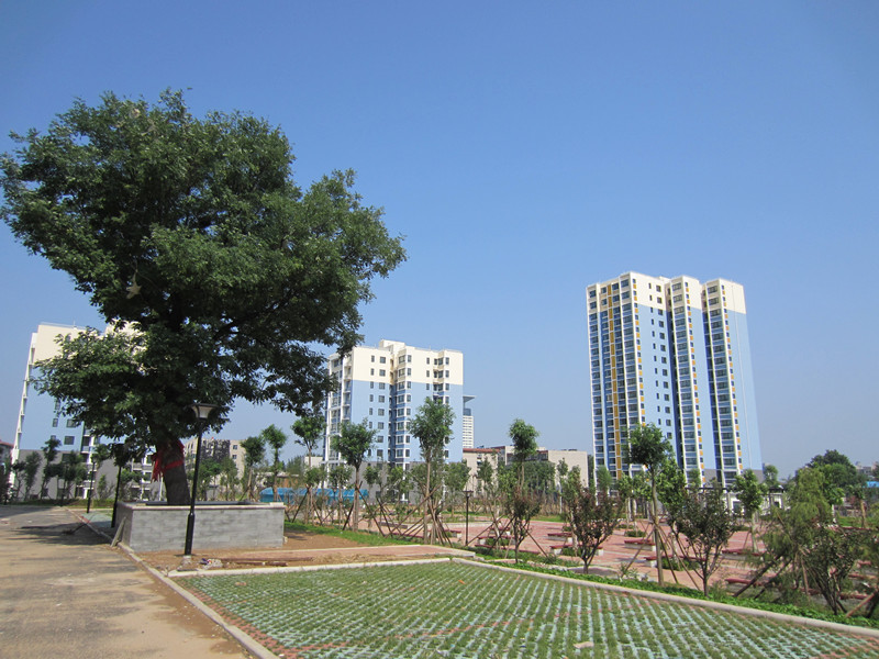 姚家村安置房園林綠化D區、E區、F區、G區的園林綠化工程第二標段