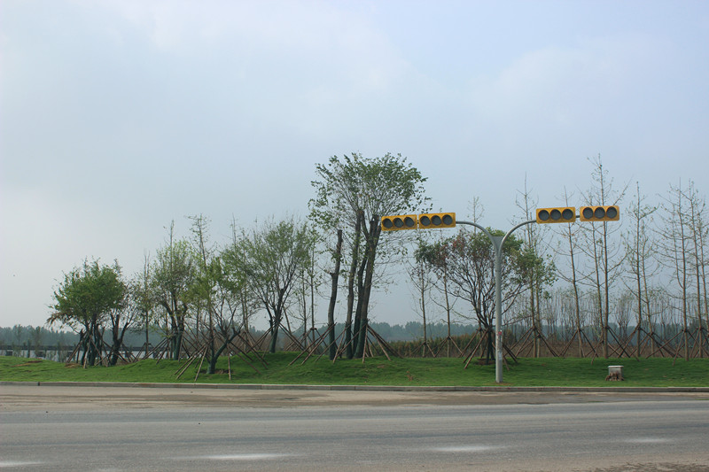 齊河縣黃河國際生態(tài)城G309景觀綠化工程施工一標(biāo)段